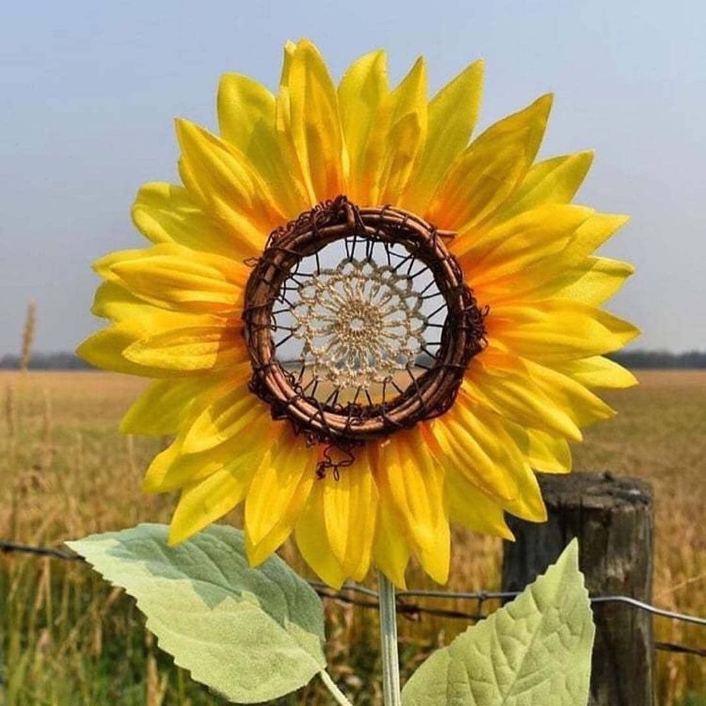 Meet your Posher stylephiles